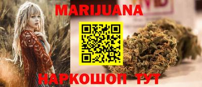 крисы Славгород