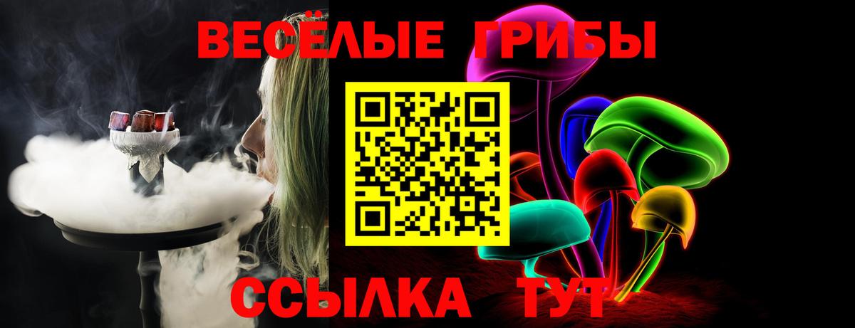 Галлюциногенные грибы Psilocybe Чебоксары